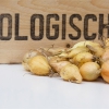Sturon Plantui Bouma biologisch